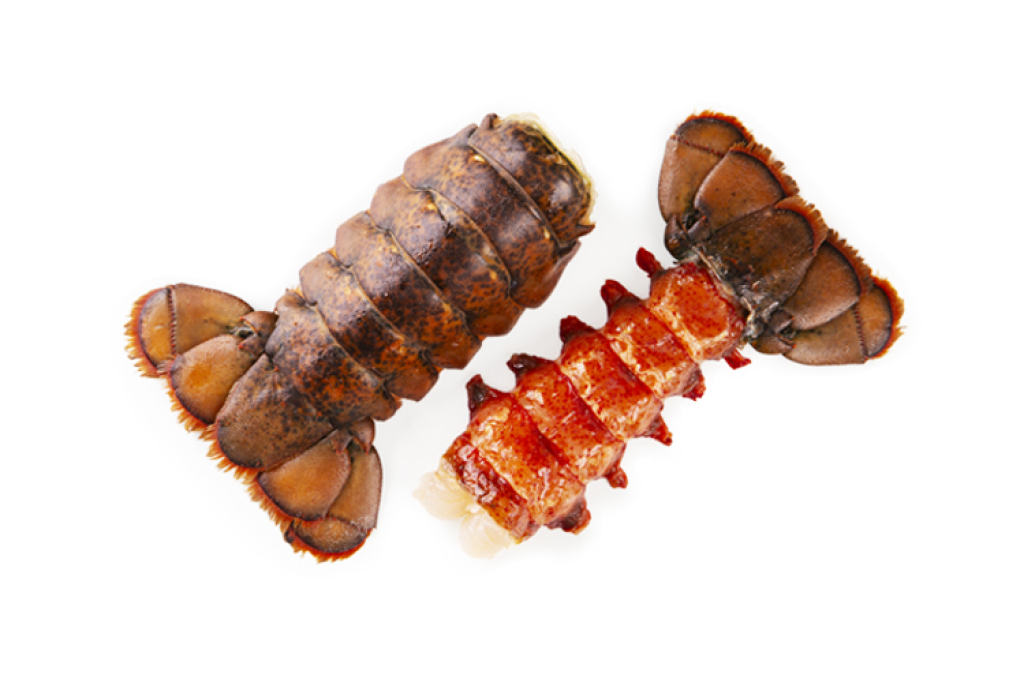 Lobster Tail +/- 18 unités Logo du produit Lobster Tail +/- 18 unités