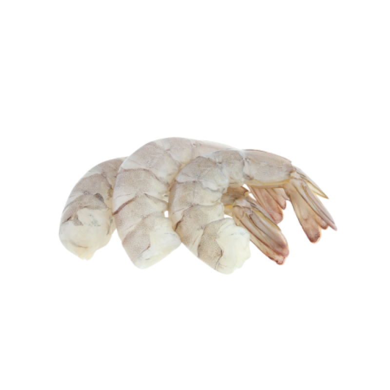 White Shrimps Logo du produit White Shrimps